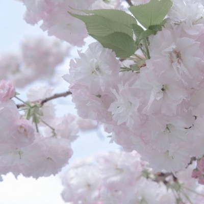 港闸FurryQQ群介绍